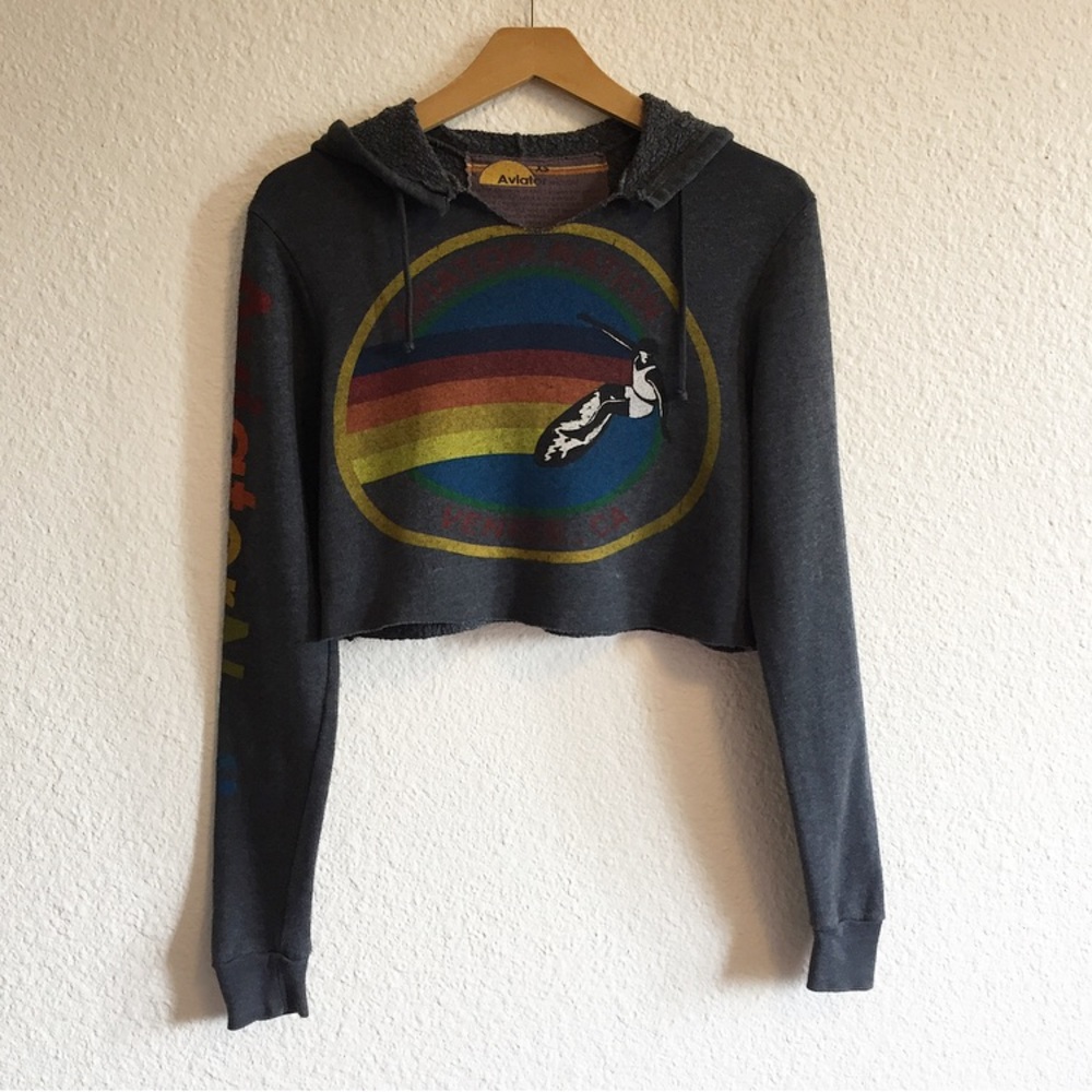 Aviator Nation Cropped Rainbow Hoodie Gray
